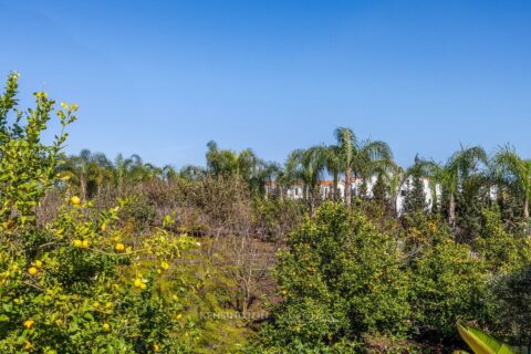 Villa Firmane in Benslimane, Morocco