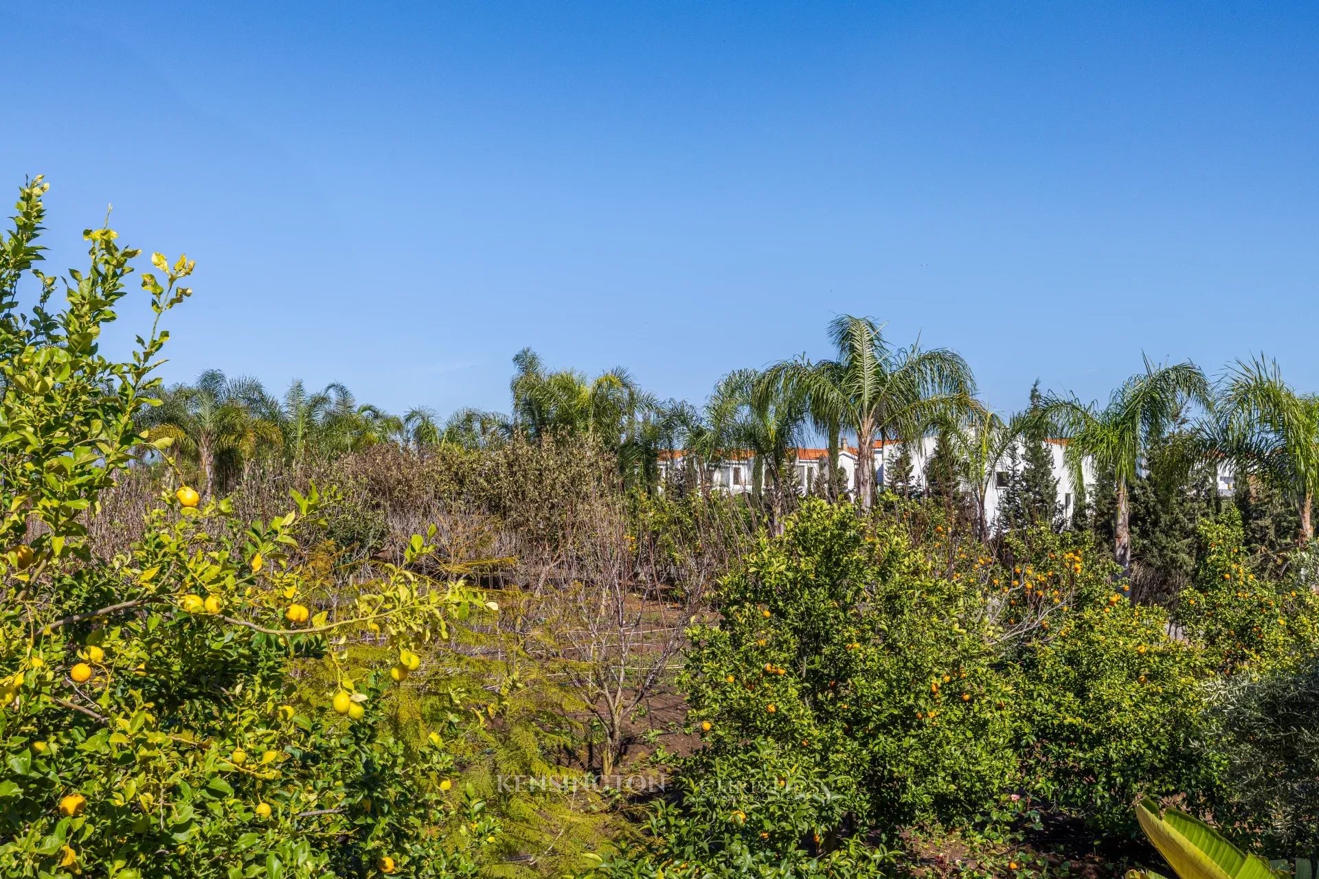 Villa Firmane in Benslimane, Morocco