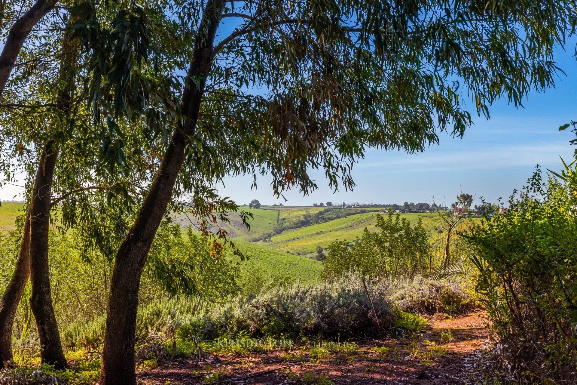 Villa Firmane in Benslimane, Morocco