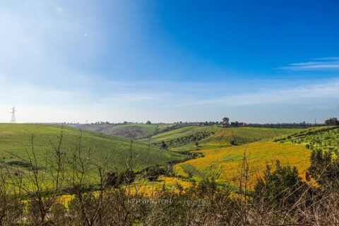 Villa Firmane in Benslimane, Morocco
