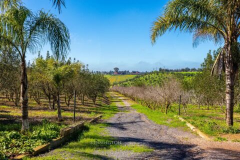 Villa Firmane in Benslimane, Morocco