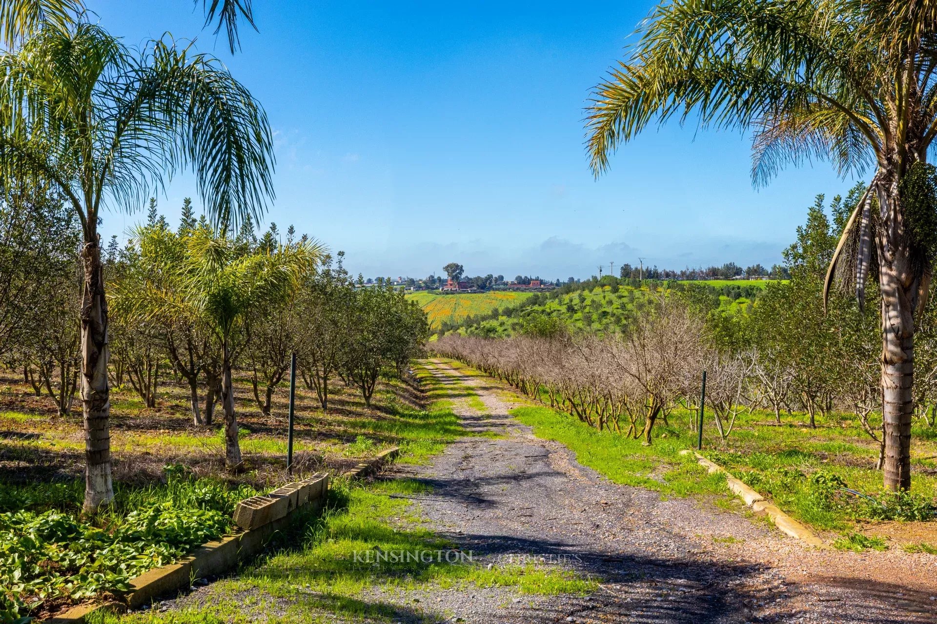 Villa Firmane in Benslimane, Morocco