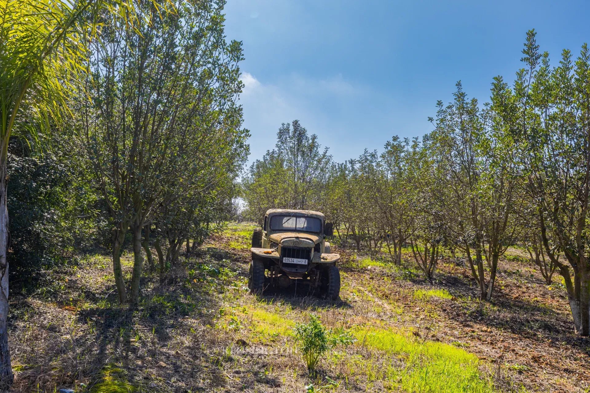 Villa Firmane in Benslimane, Morocco