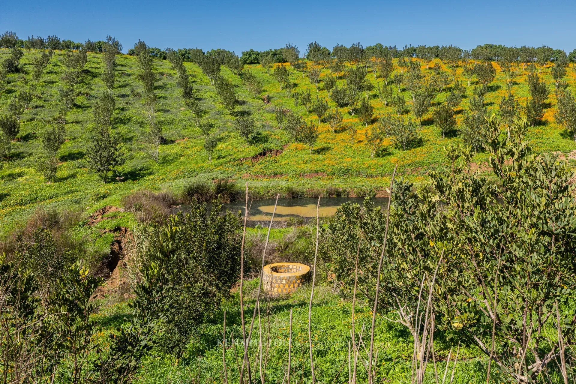 Villa Firmane in Benslimane, Morocco
