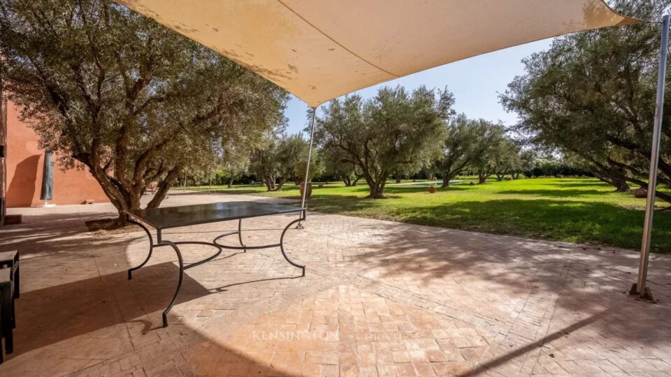 Villa Garden in Marrakech