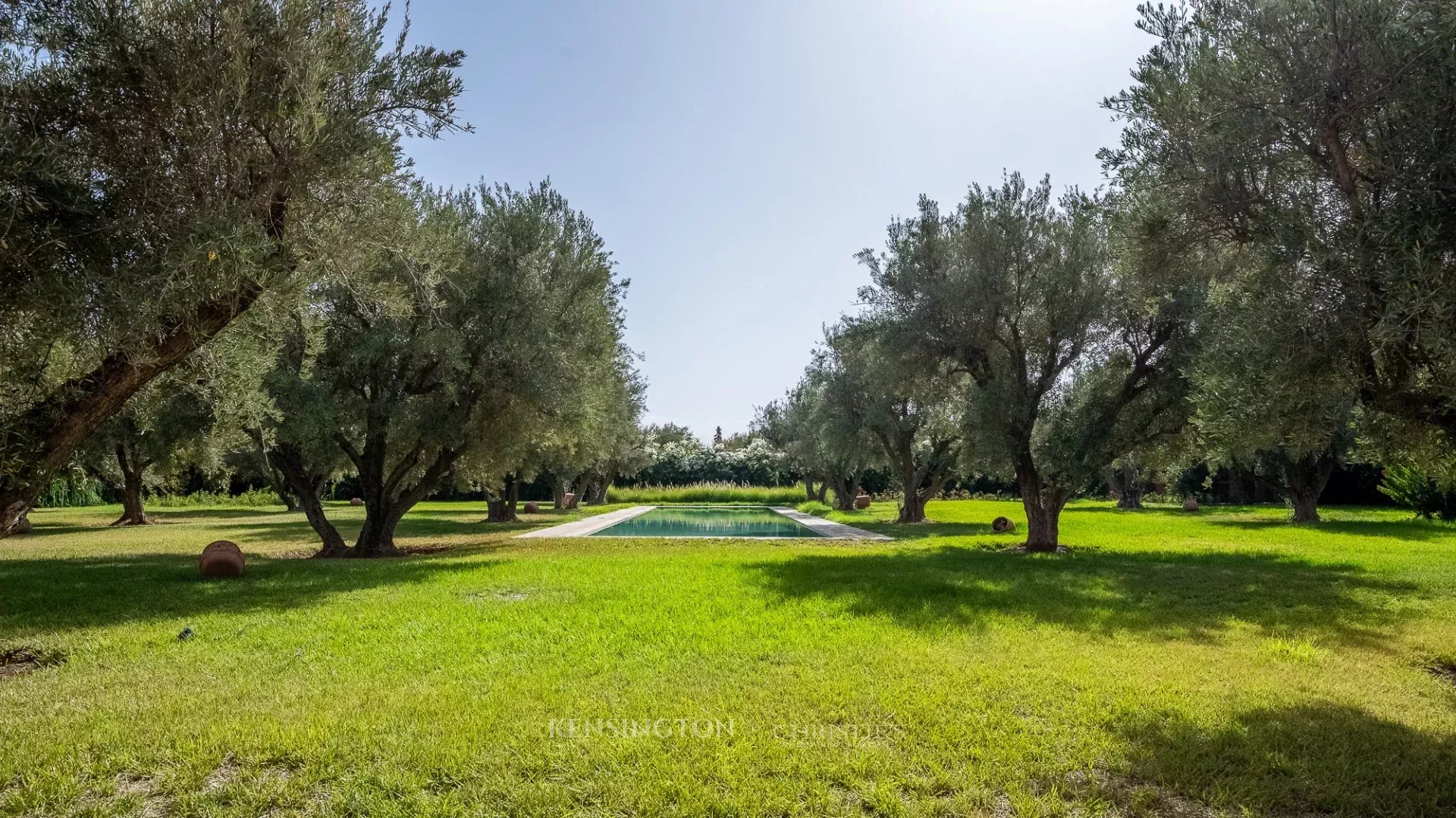 Villa Garden in Marrakech, Morocco
