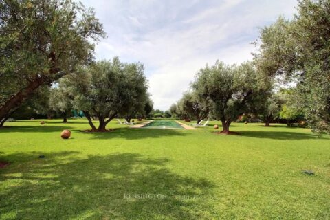 Villa Garden in Marrakech, Morocco