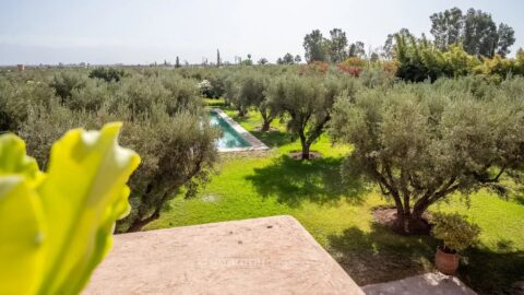 Villa Garden in Marrakech, Morocco