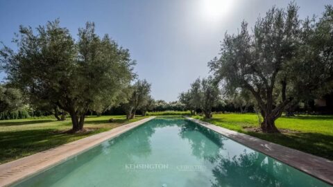 Villa Garden in Marrakech, Morocco
