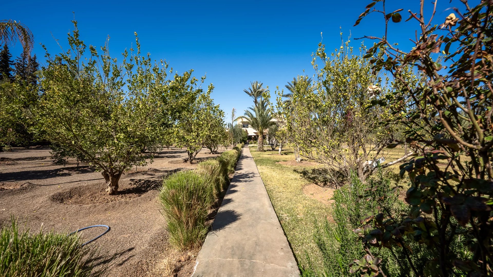 Villa Hibiscus in Marrakech, Morocco