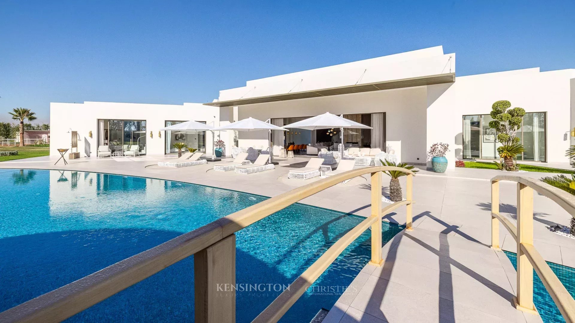 Villa Horse in Marrakech, Morocco