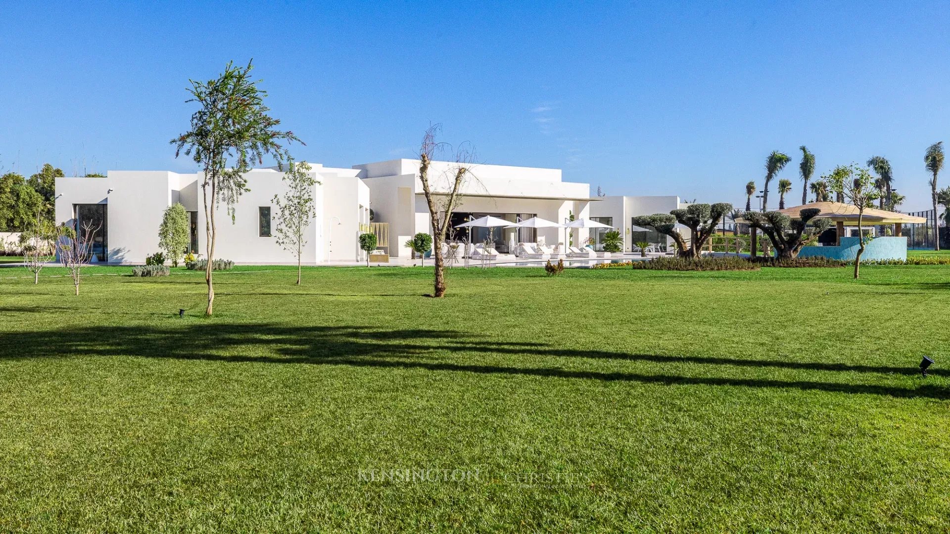 Villa Horse in Marrakech, Morocco