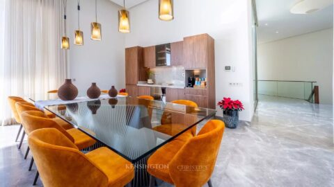 Villa Horse in Marrakech, Morocco