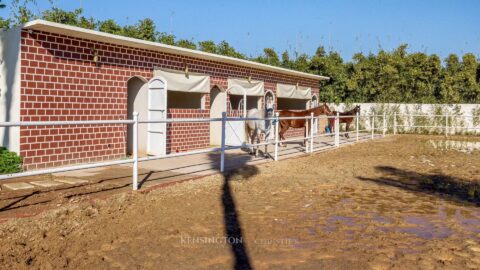 Villa Horse in Marrakech, Morocco