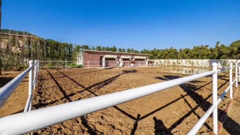 Villa Horse in Marrakech, Morocco
