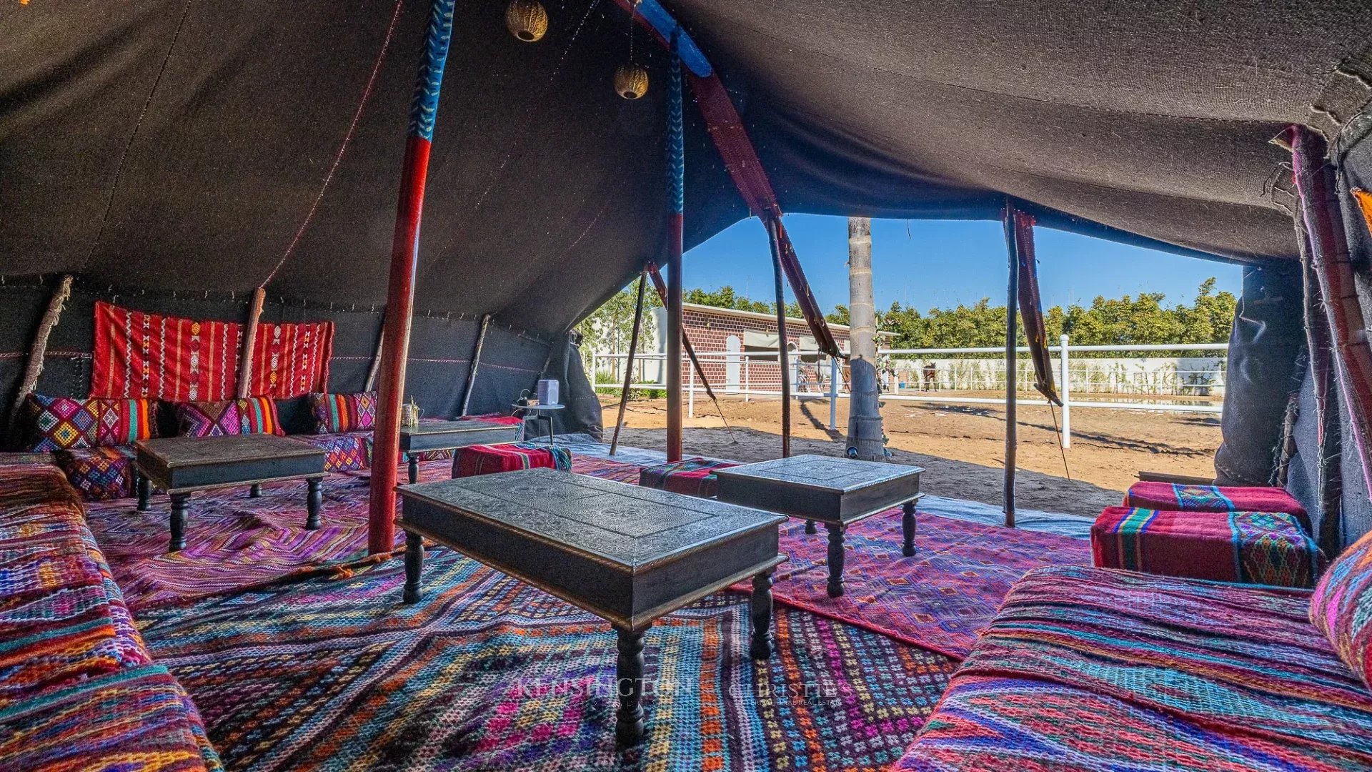 Villa Horse in Marrakech, Morocco