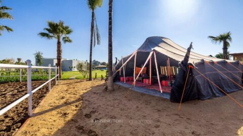 Villa Horse in Marrakech, Morocco