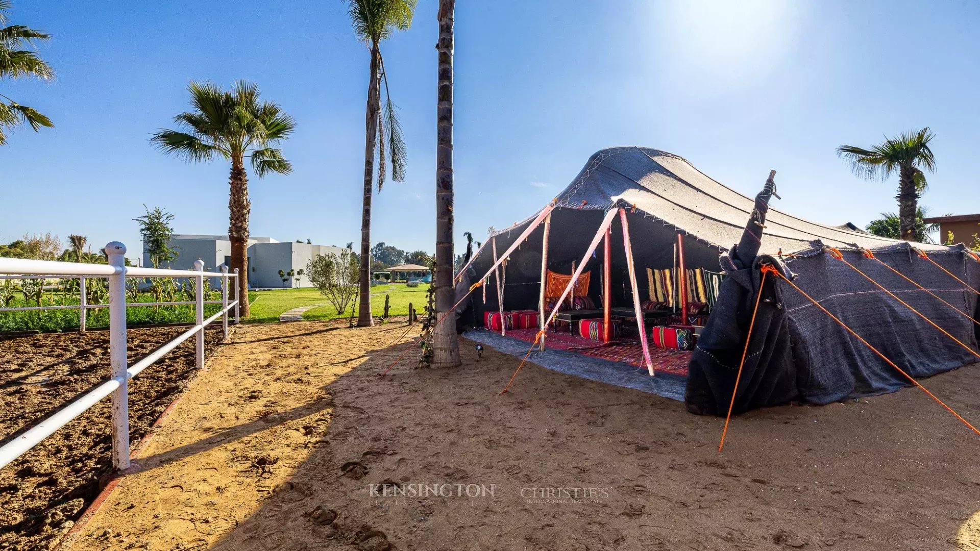Villa Horse in Marrakech, Morocco