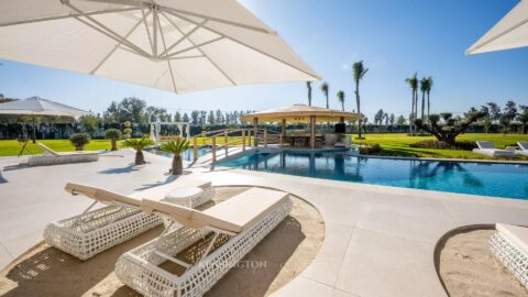 Villa Horse in Marrakech, Morocco