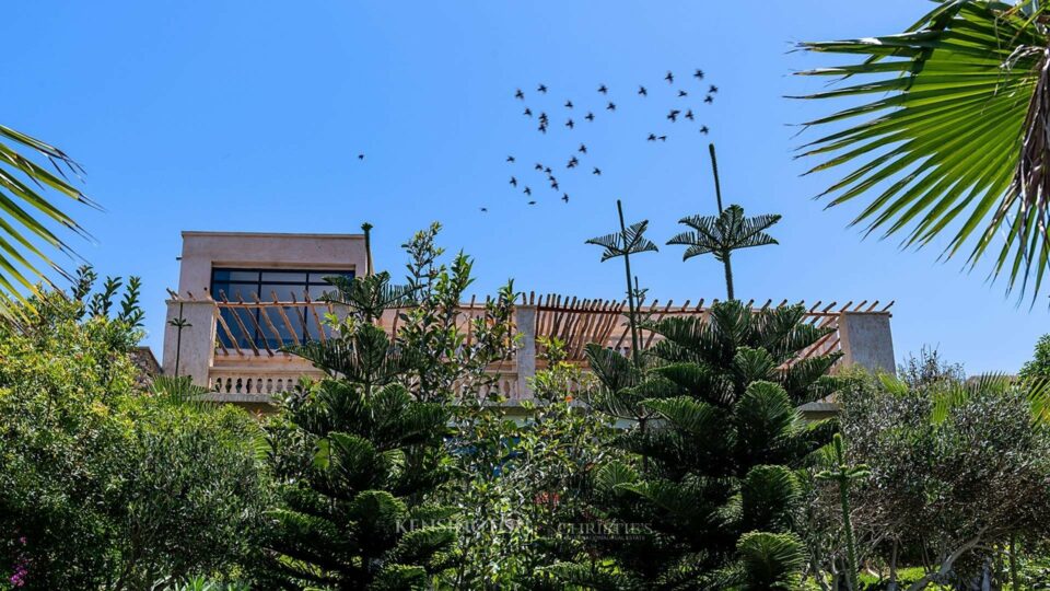 Villa Juba in Oualidia, Morocco