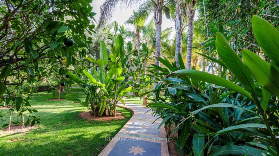 Villa Lions in Marrakech, Morocco