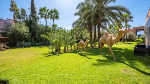 Villa Maestra in Marrakech, Morocco