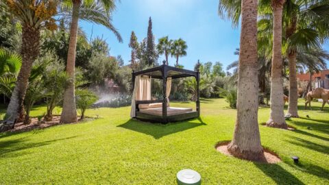 Villa Maestra in Marrakech, Morocco
