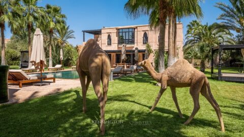 Villa Maestra in Marrakech, Morocco