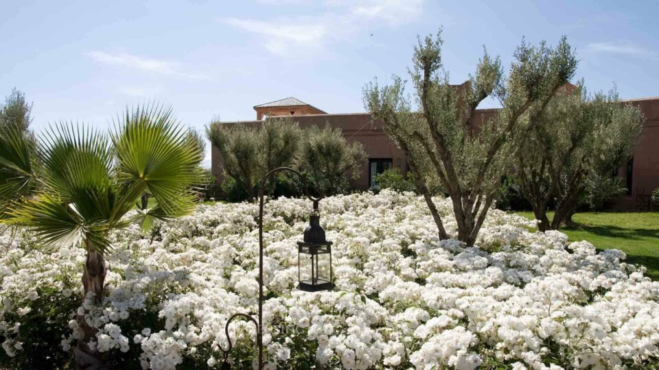 Villa Nachi in Marrakech, Morocco