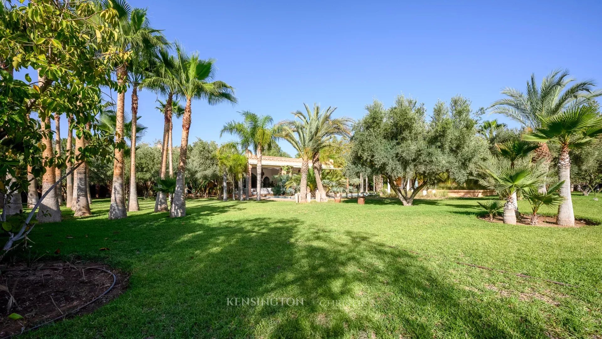 Villa Olivea in Marrakech, Morocco