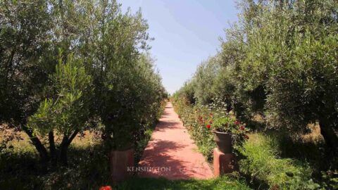 Villa Praia in Marrakech, Morocco