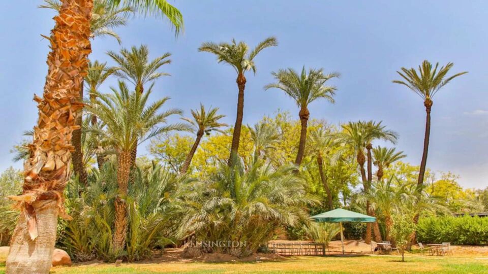 Villa Starck in Marrakech, Morocco