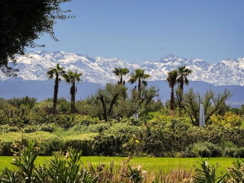 Villa W in Marrakech, Morocco