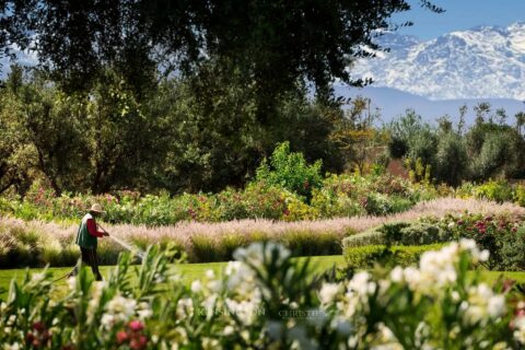 Villa W in Marrakech, Morocco