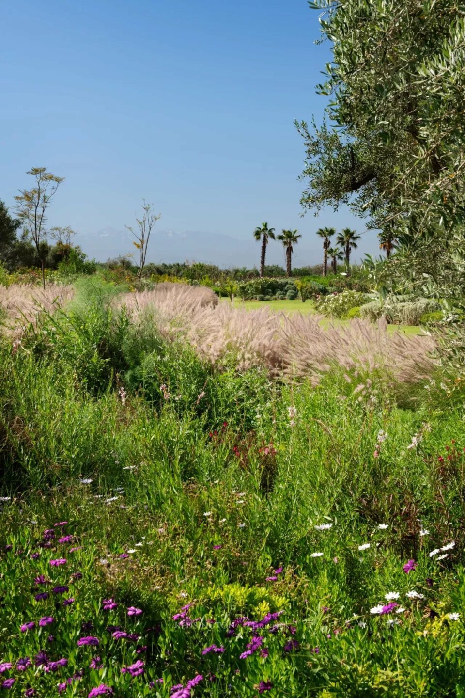 Villa W in Marrakech, Morocco