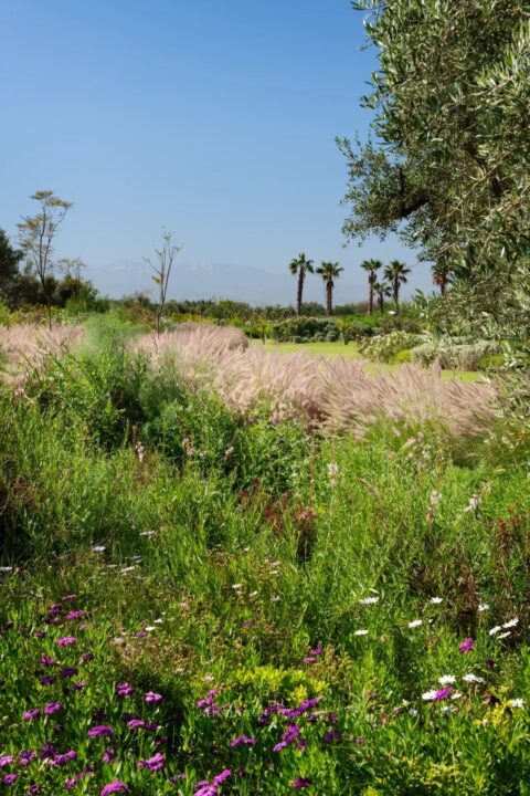 Villa W in Marrakech, Morocco