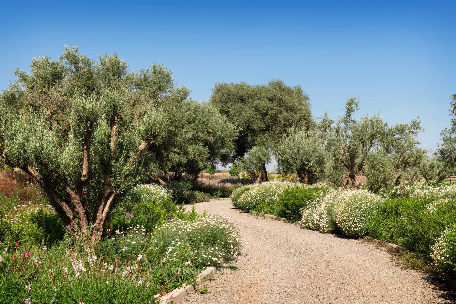 Villa W in Marrakech, Morocco