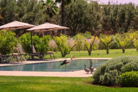 Villa W in Marrakech, Morocco
