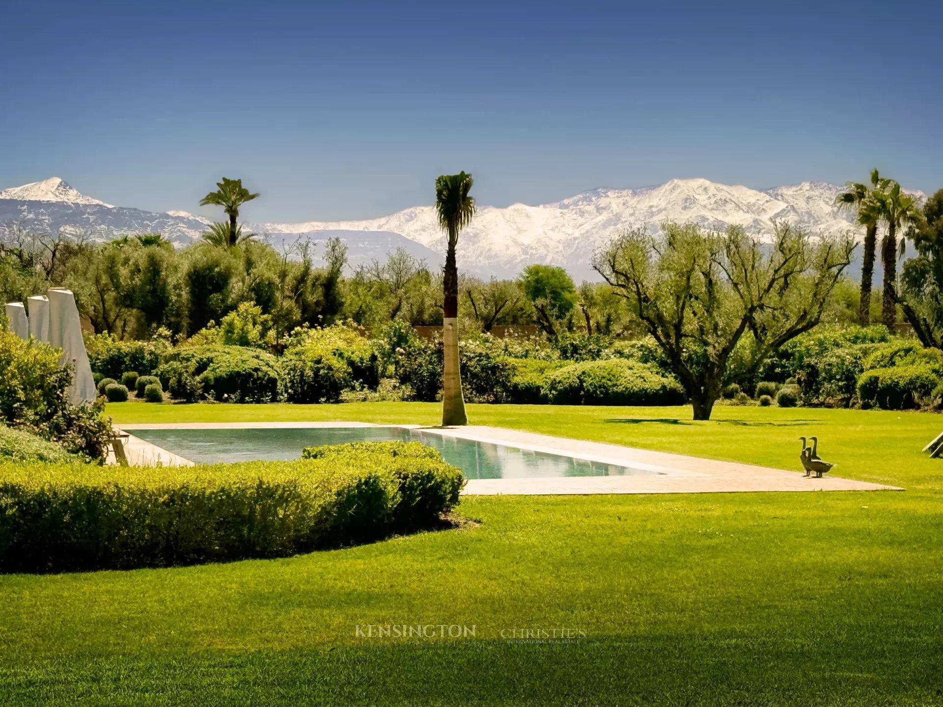 Villa W in Marrakech, Morocco