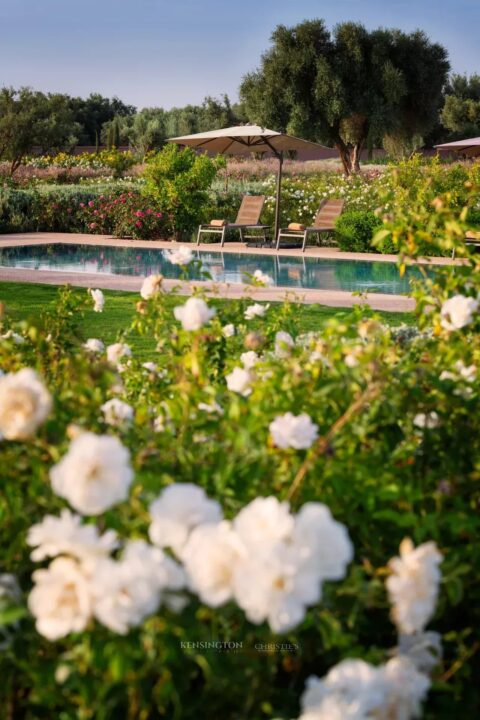 Villa W in Marrakech, Morocco