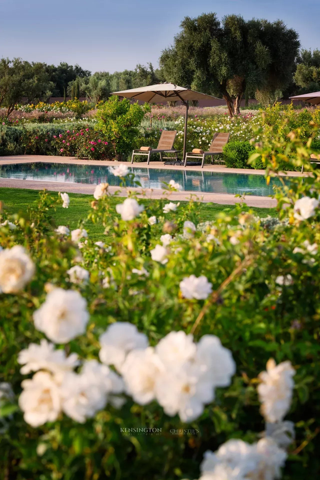 Villa W in Marrakech, Morocco