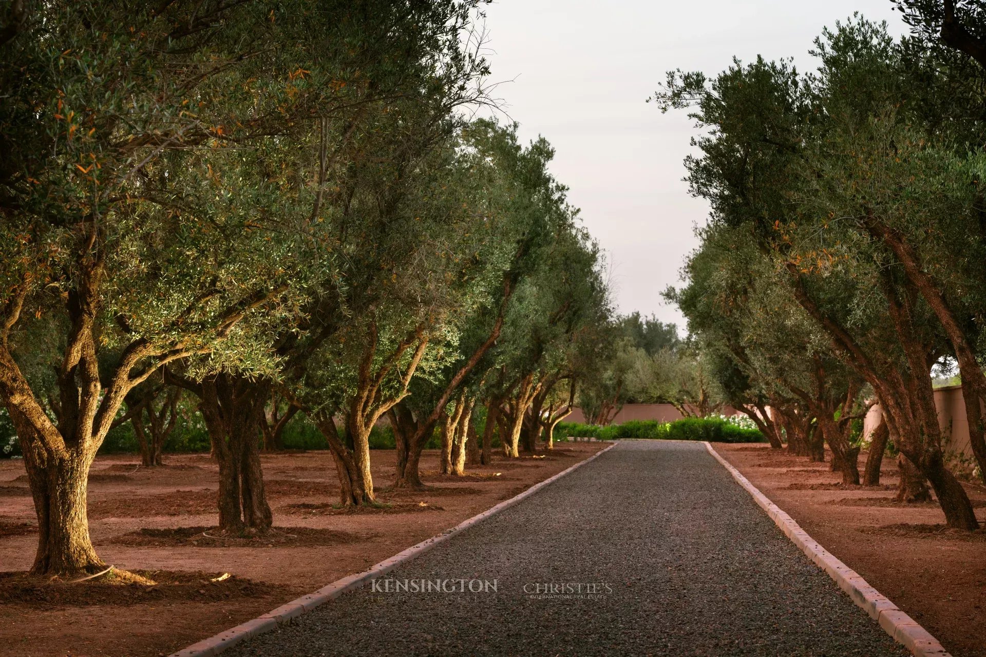 Villa W in Marrakech, Morocco