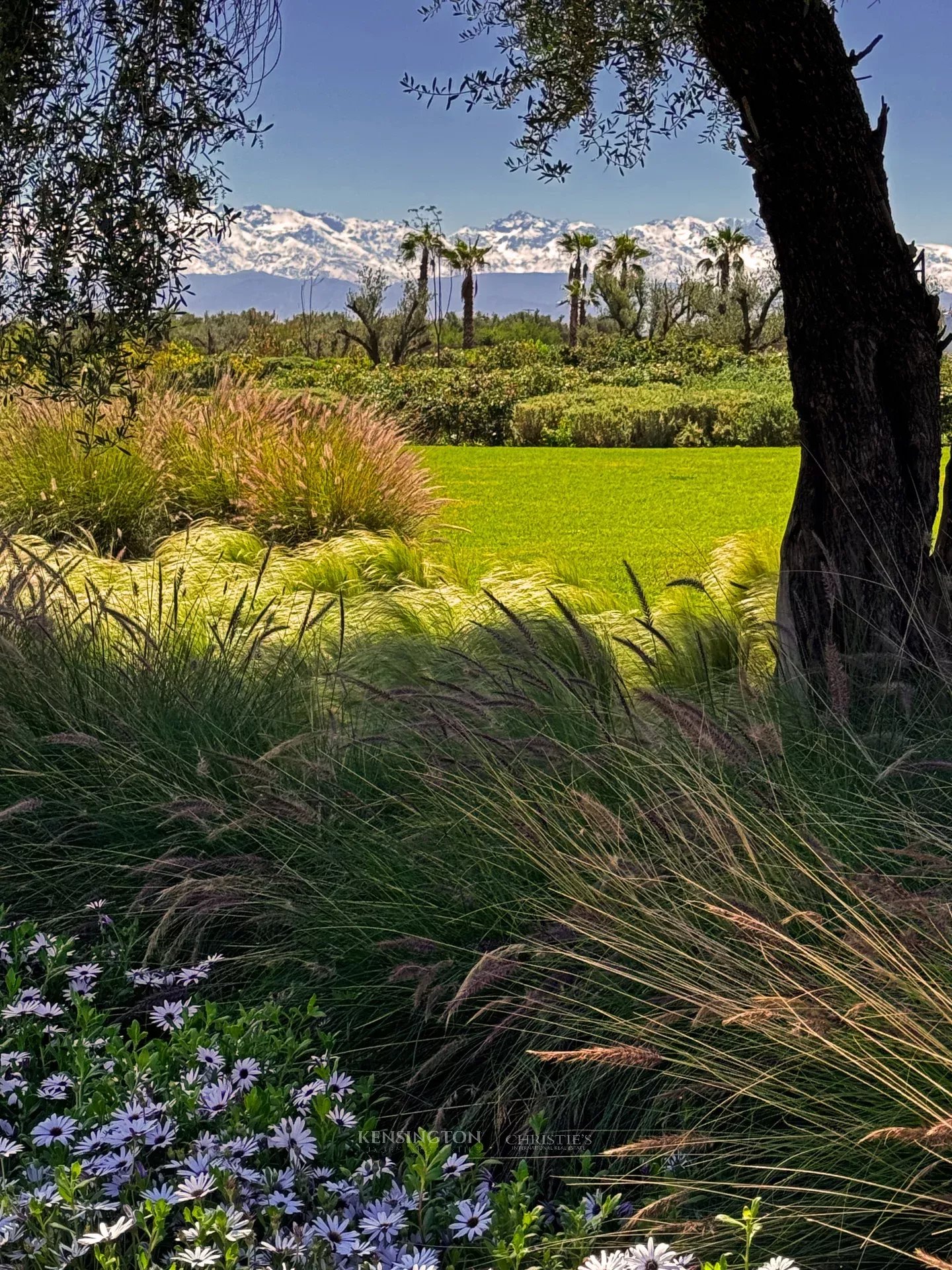 Villa W in Marrakech, Morocco
