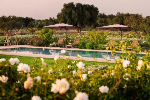 Villa W in Marrakech, Morocco