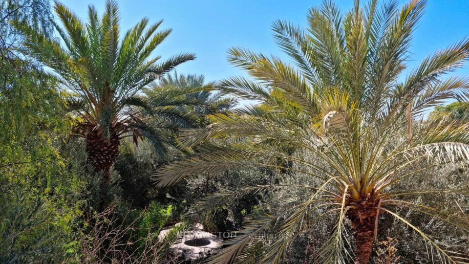 Villa Ylang in Marrakech, Morocco